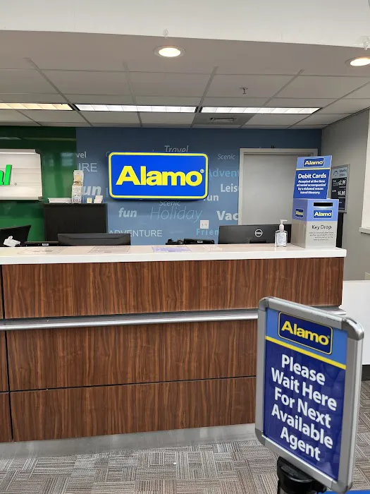 Alamo Rent A Car Picture 3