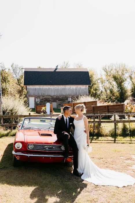 VELOCITY Luxury and Classic Rentals Picture 2