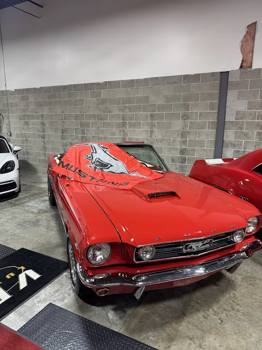 VELOCITY Luxury and Classic Rentals Picture 3