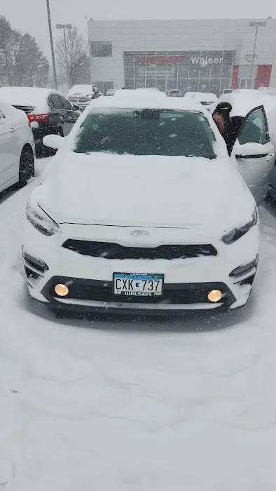 Dimmples Car Rentals Picture 8
