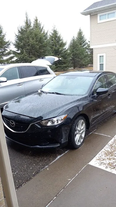 Dimmples Car Rentals Picture 10