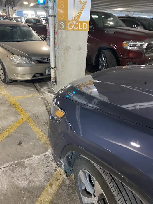 Payless Car Rental Picture 1