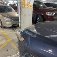 Payless Car Rental ico