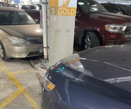 Payless Car Rental