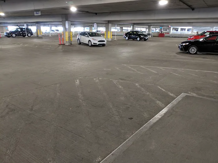 Payless Car Rental Picture 10