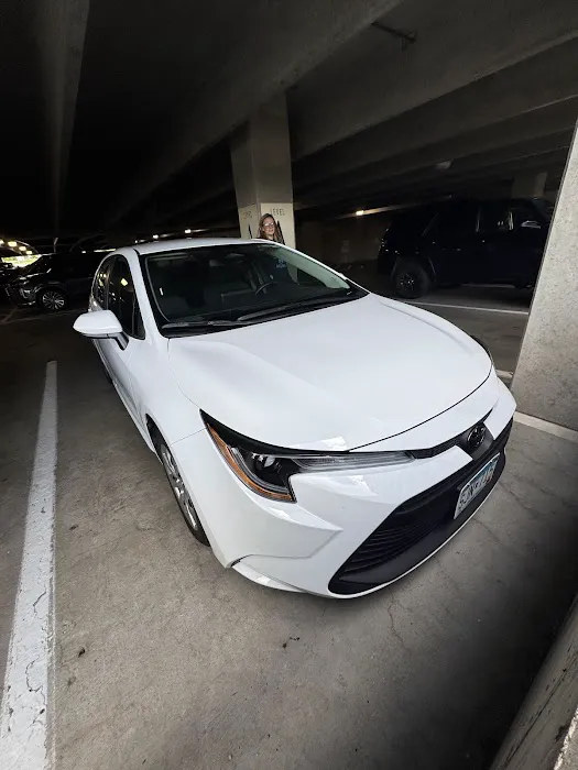 Budget Car Rental Picture 7