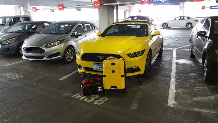 Budget Car Rental Picture 6