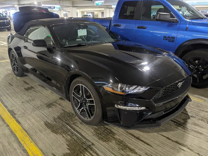 National Car Rental Picture 8