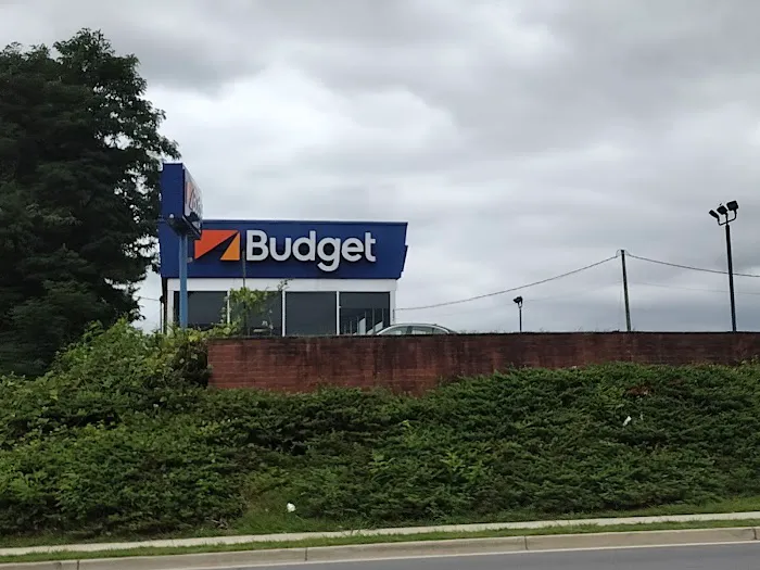 Budget Picture 4
