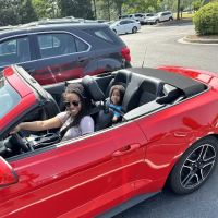 Avis Car Rental ico
