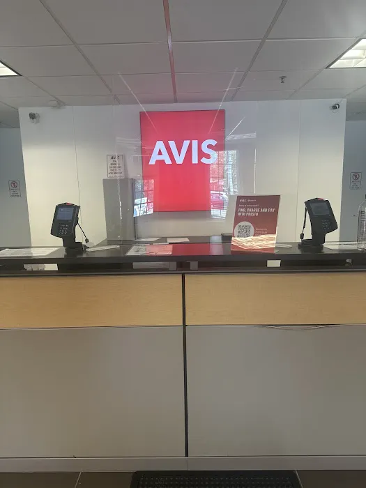 Avis Car Rental Picture 2