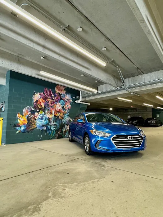 Atlanta Cash Car Rentals Picture 4