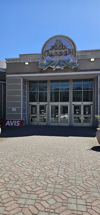 Avis Car Rental Picture 4