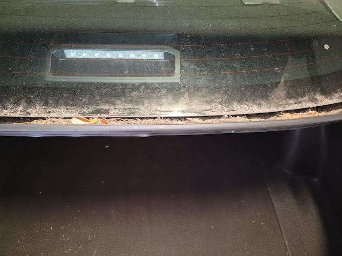 Avis Car Rental Picture 10