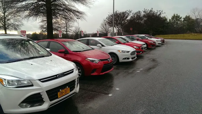 Avis Car Rental Picture 9