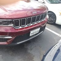Avis Car Rental ico