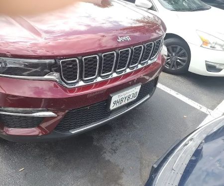 Avis Car Rental