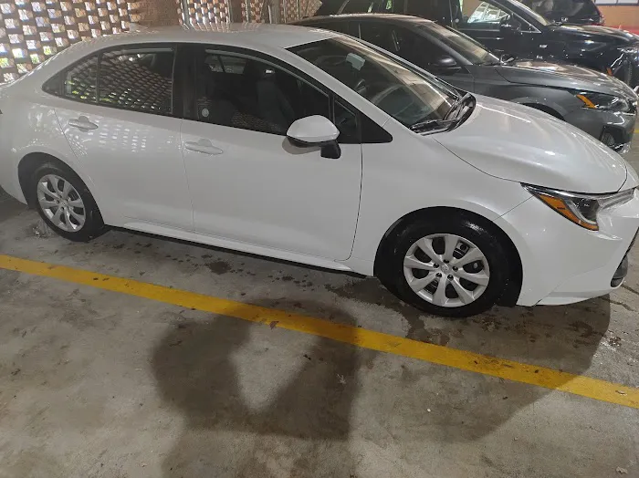 Avis Car Rental Picture 8