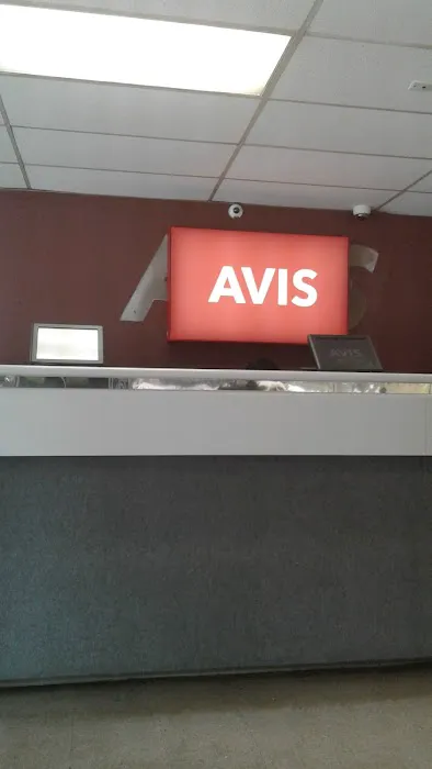 Avis Car Rental Picture 9