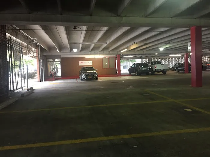 Avis Car Rental Picture 4