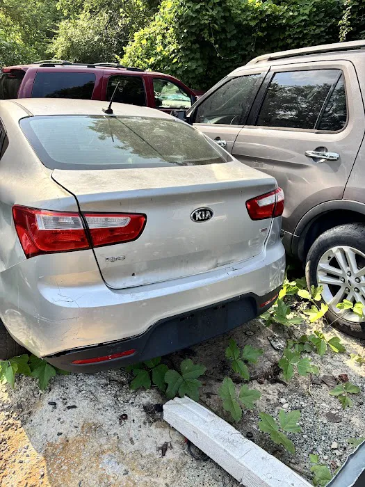 Peepoos Inc, a Trusted Partner for Car Rental Picture 10