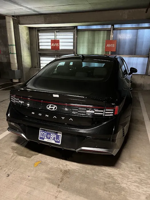 Avis Car Rental Picture 7