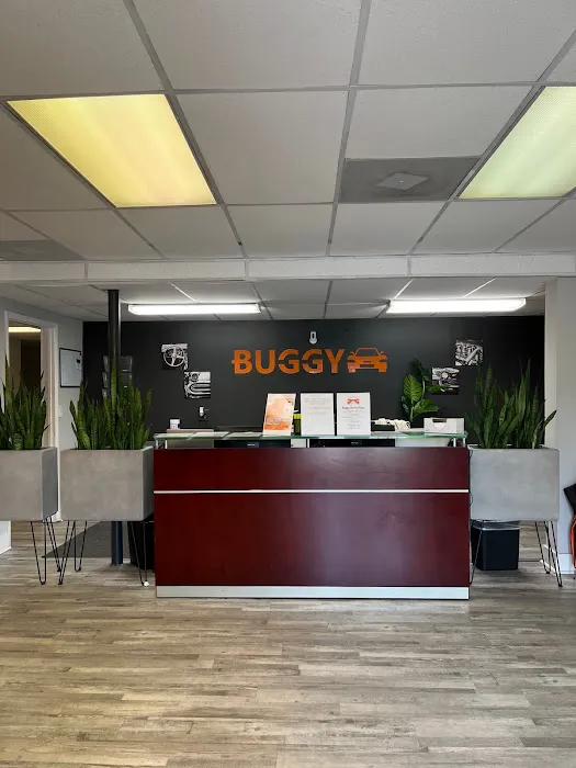 Buggy Rideshare Rental - Atlanta Picture 10