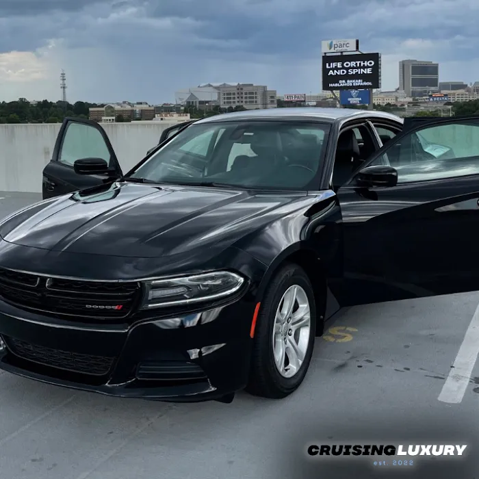 Cruising Luxury Picture 7