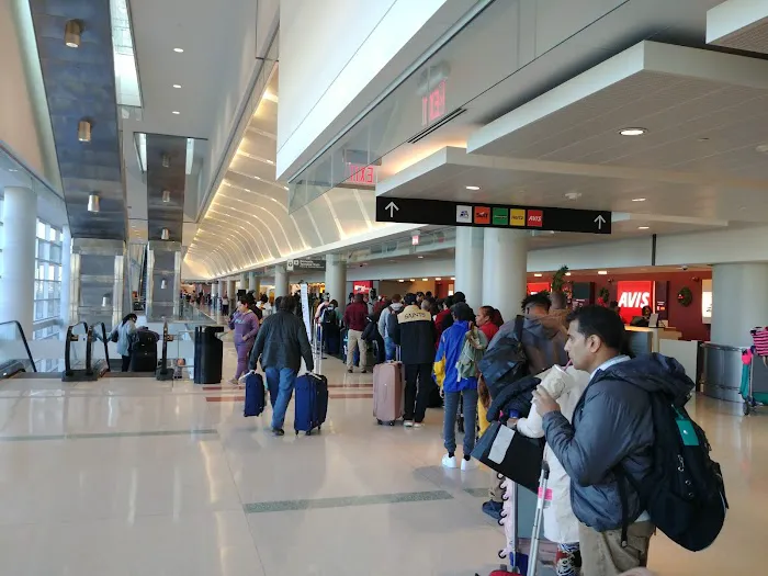 Ace Rent a Car Picture 4