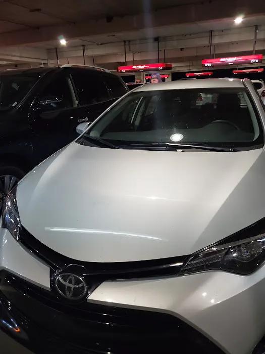 Ace Rent a Car Picture 3