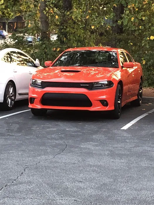 Budget Car Rental Picture 7