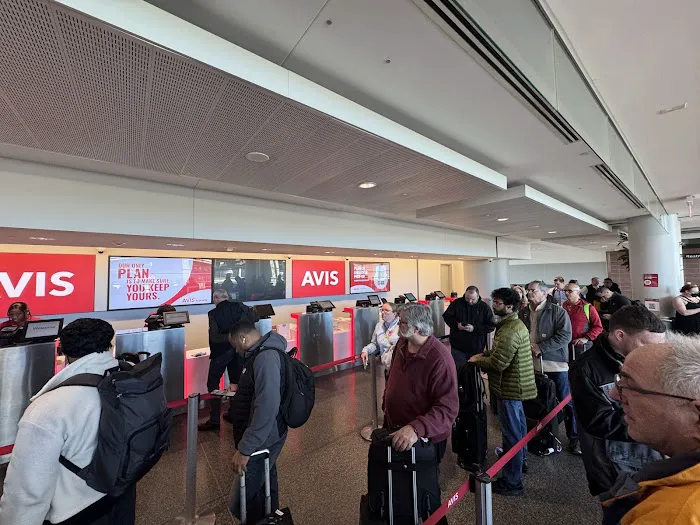 Avis Car Rental Picture 8