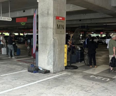 Avis Car Rental