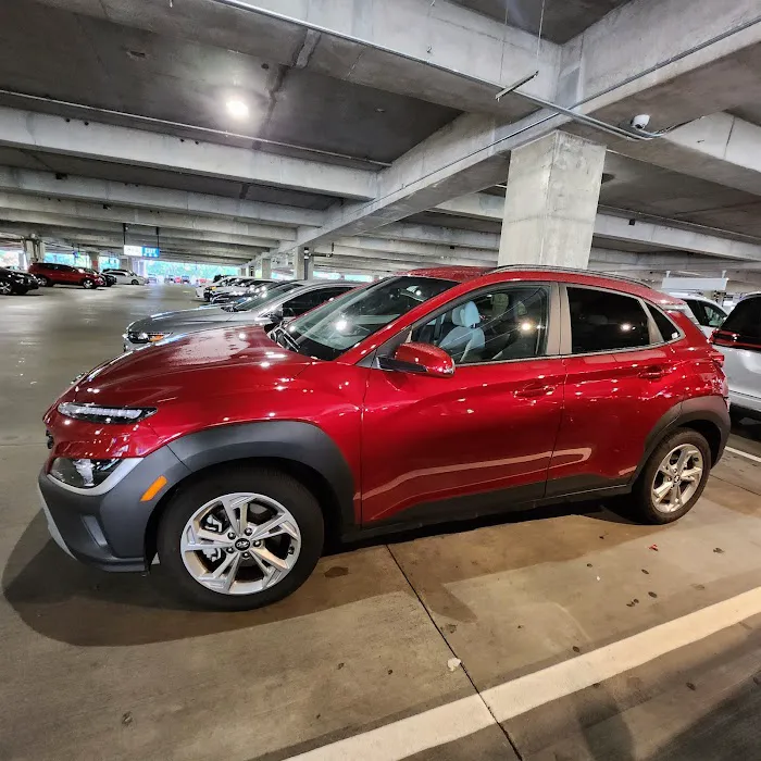 ACE Rent A Car Picture 10