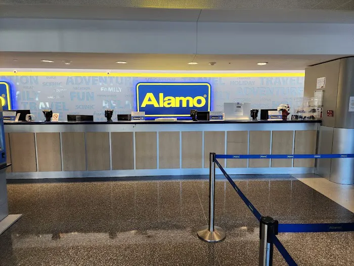 Alamo Rent A Car Picture 8