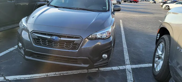 Avis Car Rental Picture 8