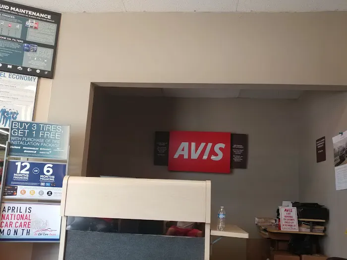Avis Car Rental Picture 5