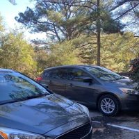 Boines USA [Cash Car Rental] ico
