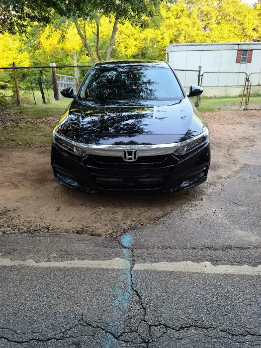 Elite Car Rental Picture 2