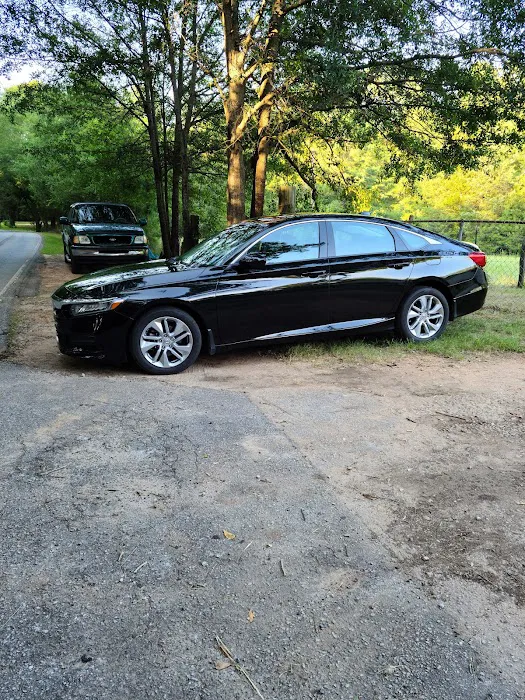 Elite Car Rental Picture 4