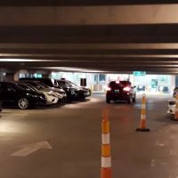 Avis Car Rental ico