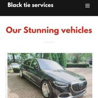 Black Tie Services llc ico