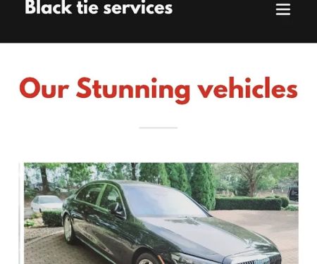 Black Tie Services llc