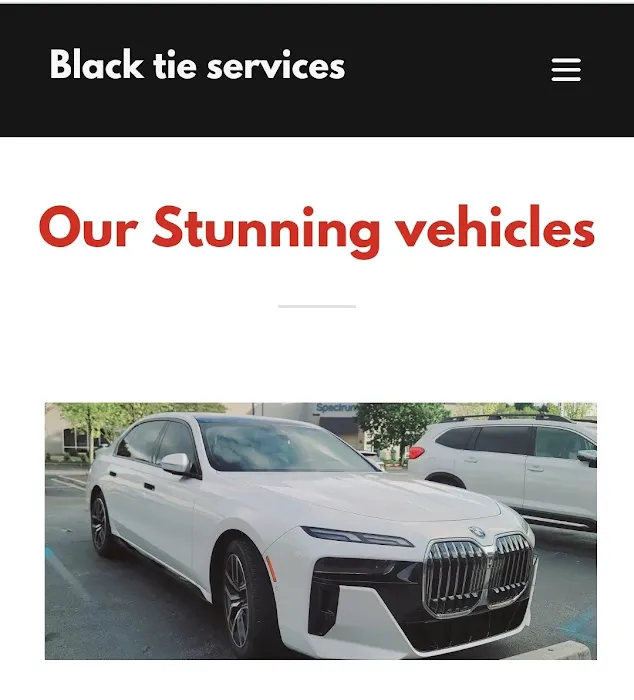 Black Tie Services llc Picture 3