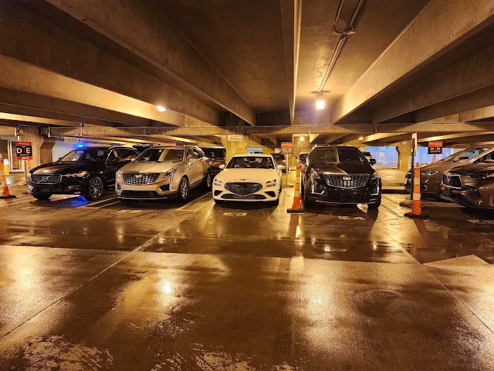 Avis Car Rental Picture 6