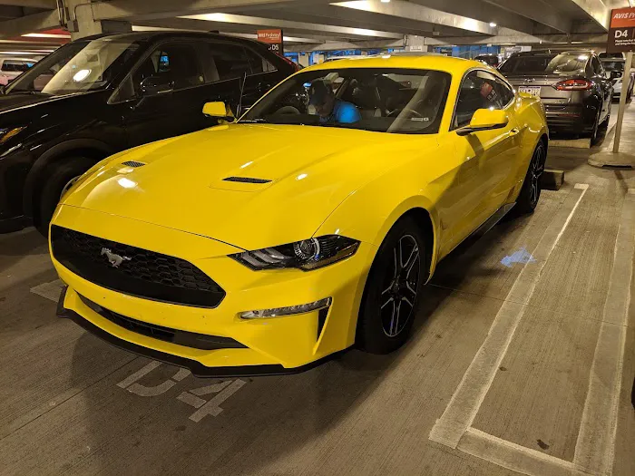 Avis Car Rental Picture 5