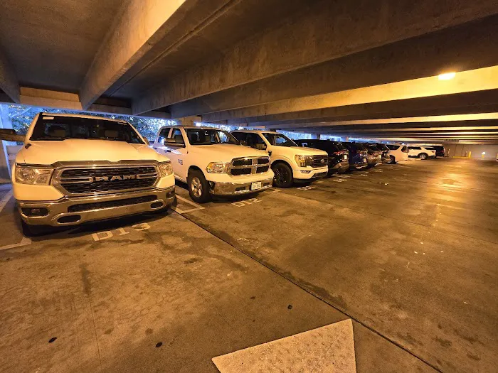 Budget Car Rental Picture 8