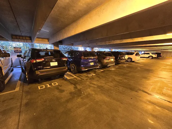 Budget Car Rental Picture 9