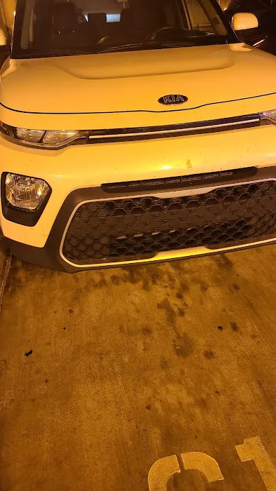 Budget Car Rental Picture 4