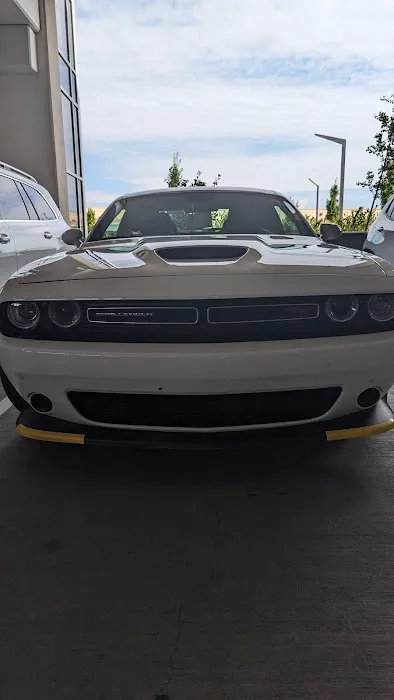 Alamo Rent A Car Picture 5